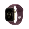 Apple Watch Series 12 Radiant Gold Titanium with Burgundy Sport Band image 1