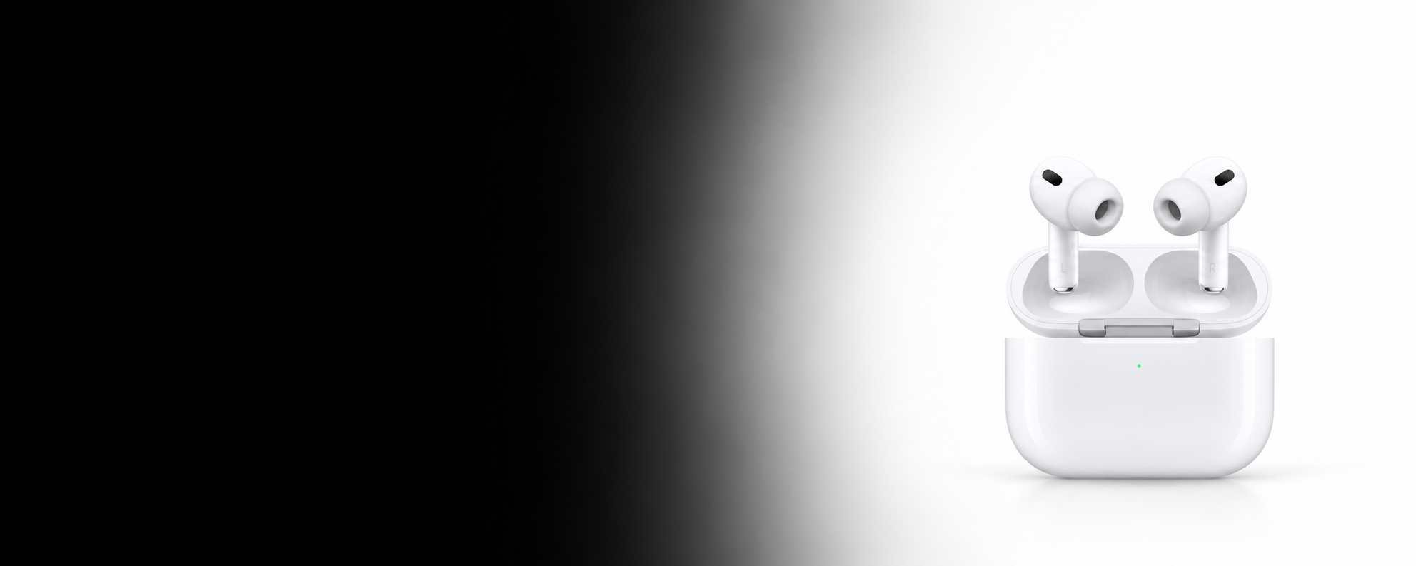 webp